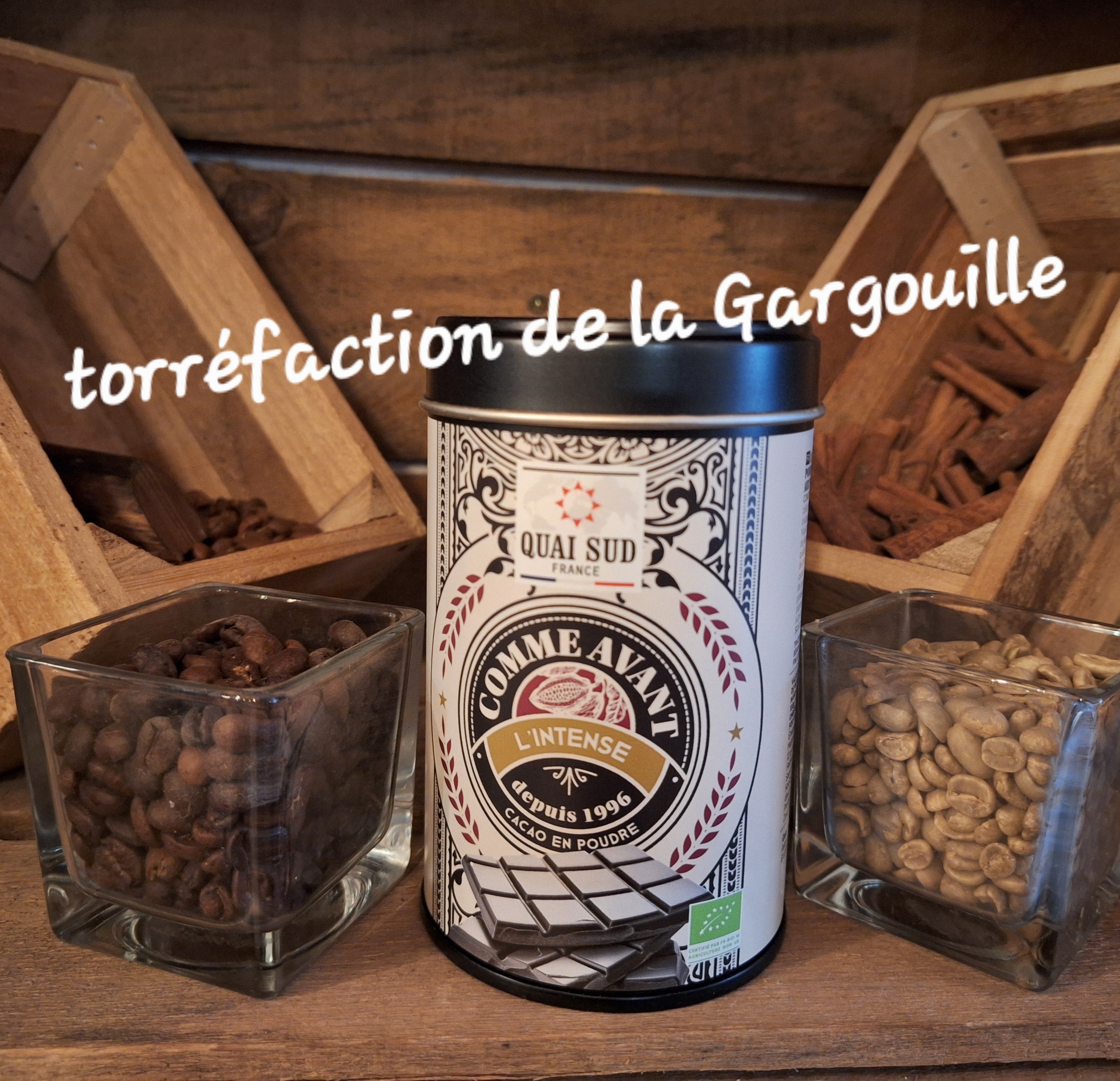 Cacao Intense Aux Pépites de Chocolat BIO 250g
