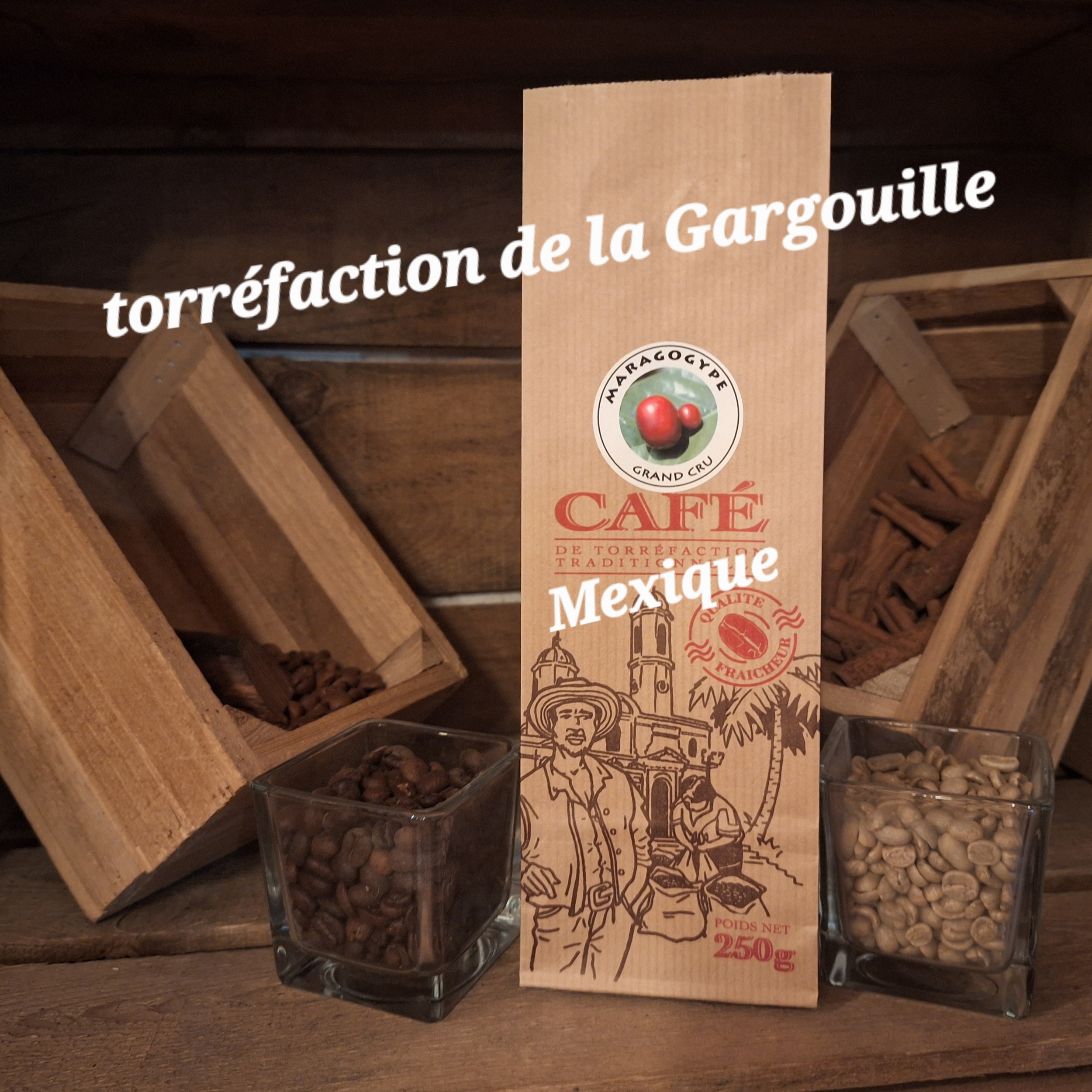 Maragogype Mexique 100% Arabica
