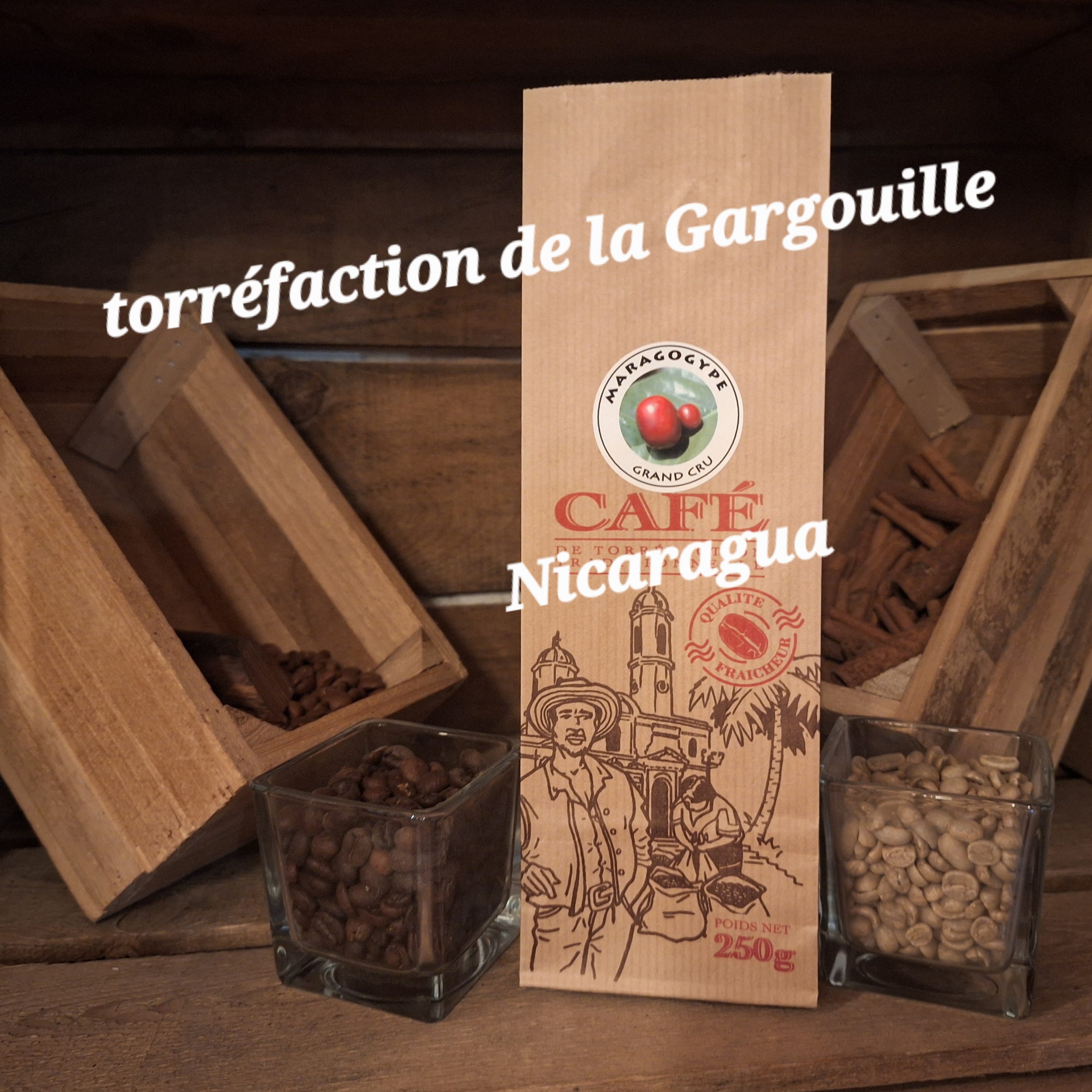 Maragogype Nicaragua 100% Arabica