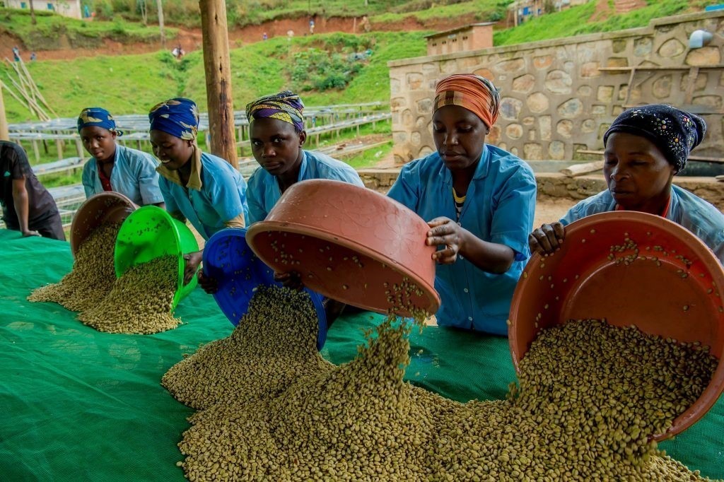 Café Rwanda