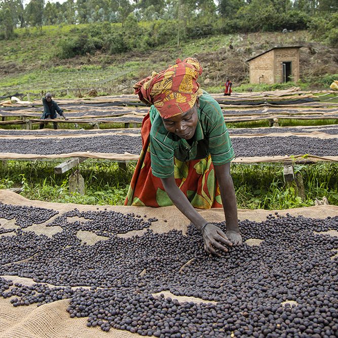 Café Burundi 1