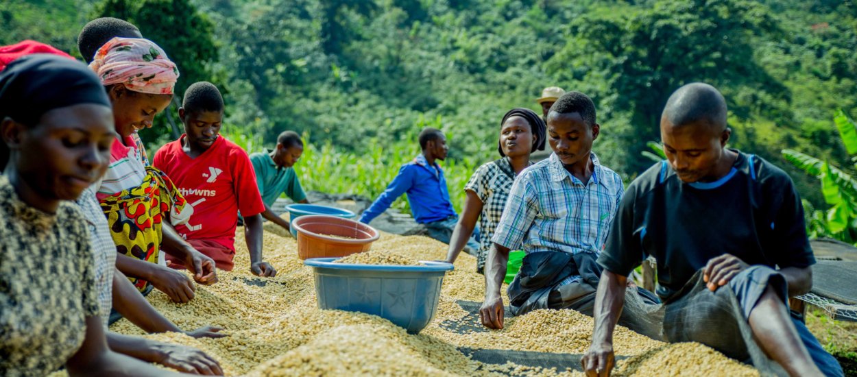 Café Congo