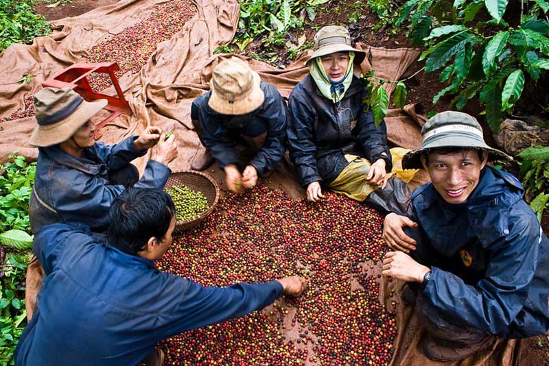 Vietnam 3