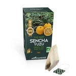 the-vert-sencha-et-yuzu-en-infusettes-zoom