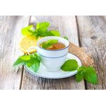 melisse-officinale