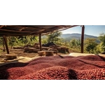 Nicaragua 2