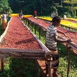 Café Kenya