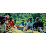 Café Congo