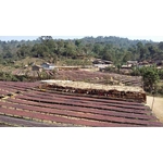 Moka Yrgacheffe 1
