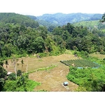 Indonesie Sumatra 4