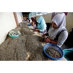 Café Indonesie Gayo 1