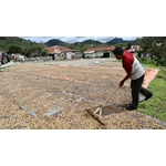 Café Indonesie Gayo 3