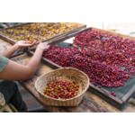 Cabecera-blog-Cafes-Moreno