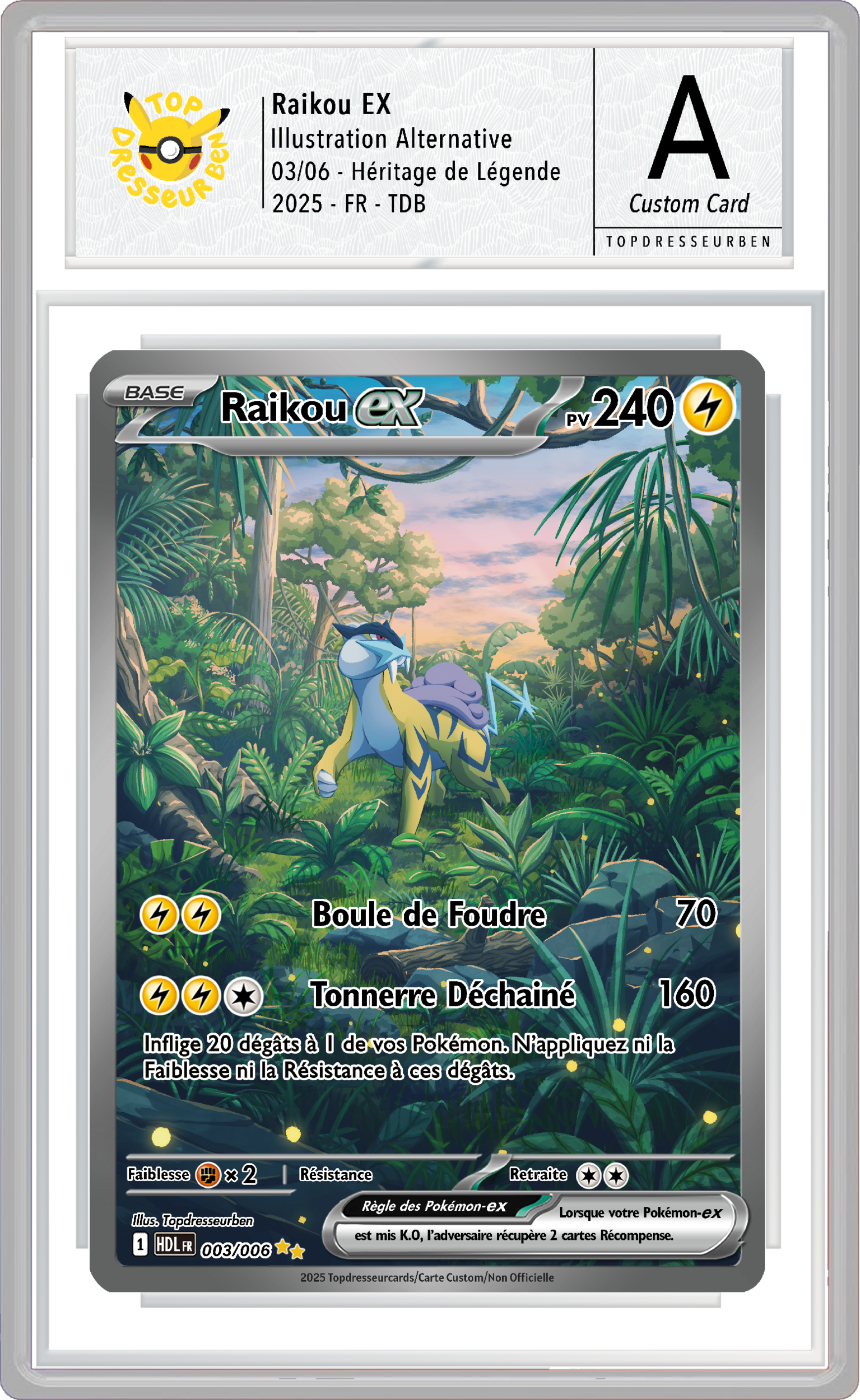 raikou hdl sous boitier topdresseurben