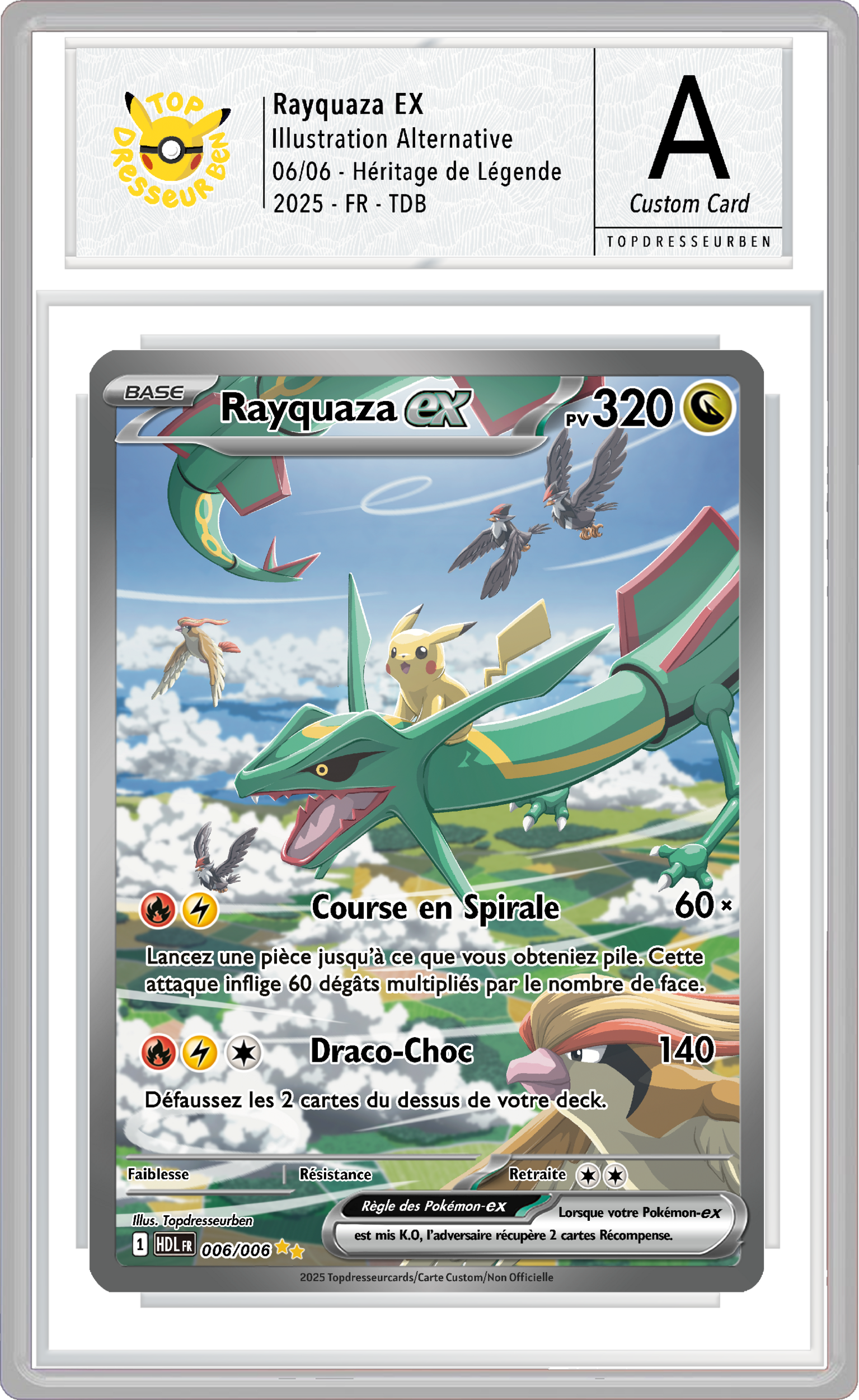 rayquaza hdl sous boitier topdresseurben