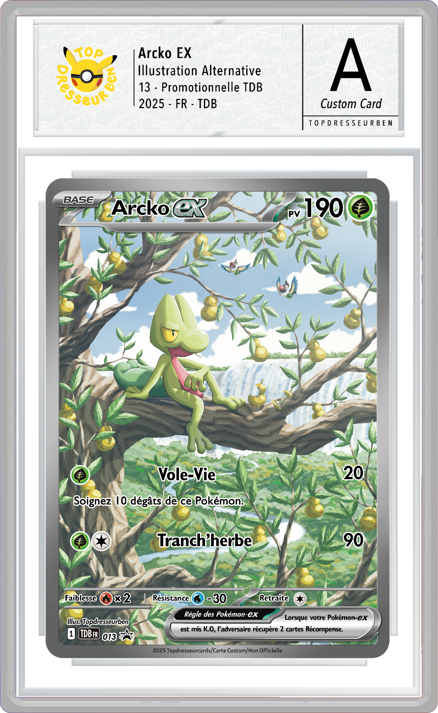 arcko promo 013 sous boitier topdresseurben