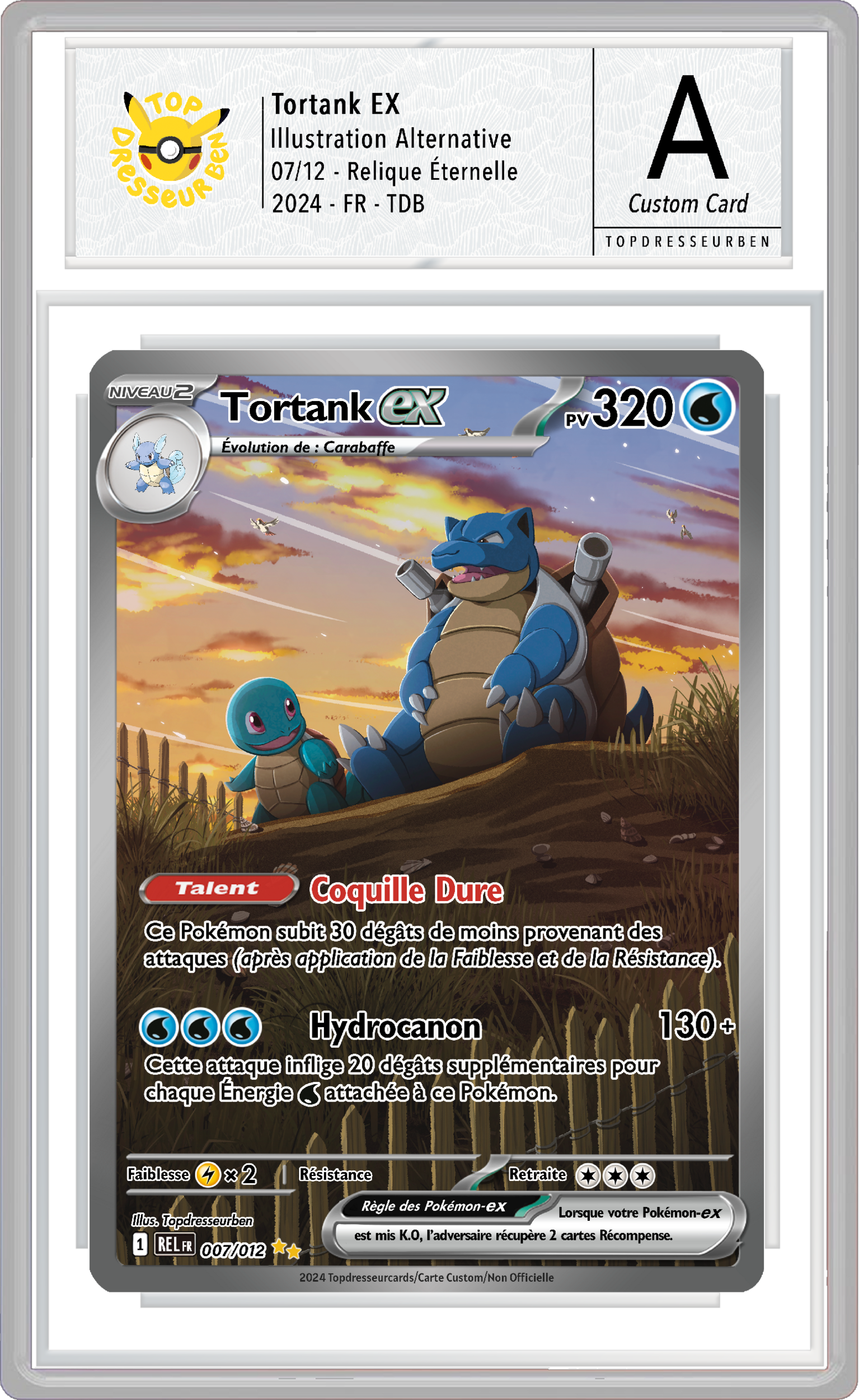 tortank re 07 sous boitier topdresseurben