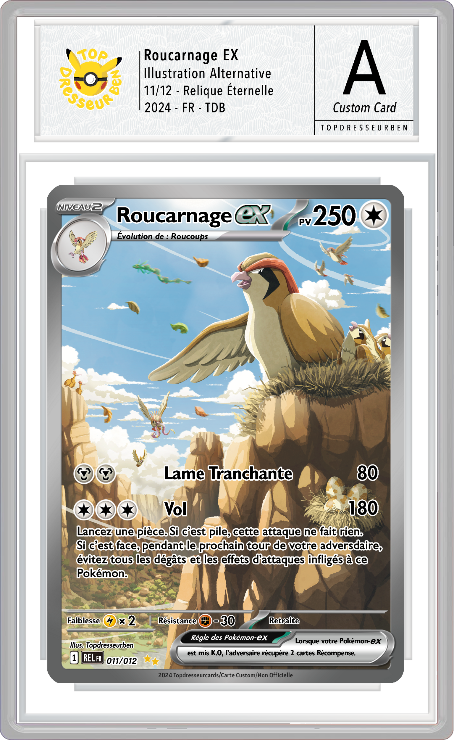 roucarnage re 11 sous boitier topdresseurben