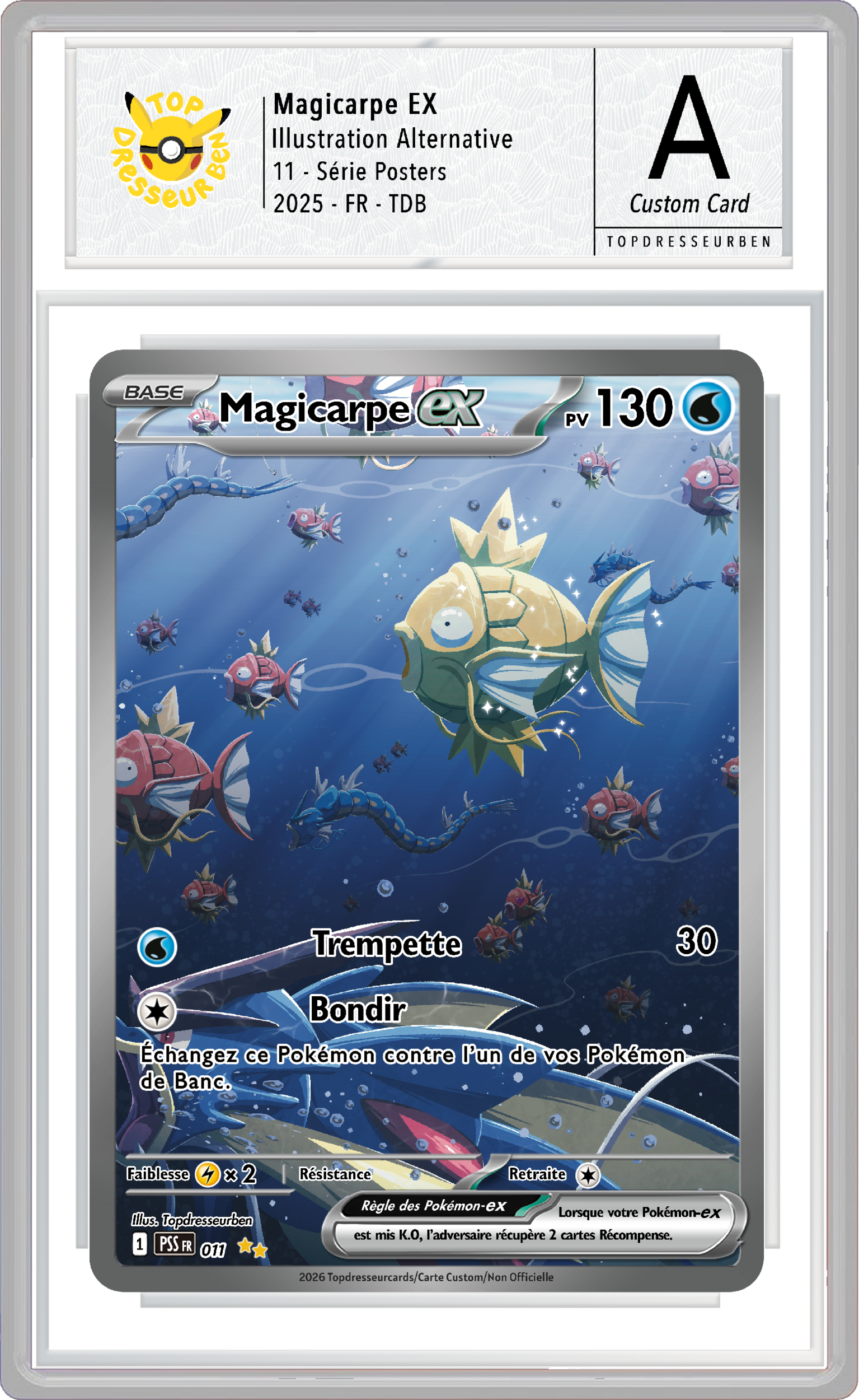 magicarpe poster 11 sous boitier topdresseurben