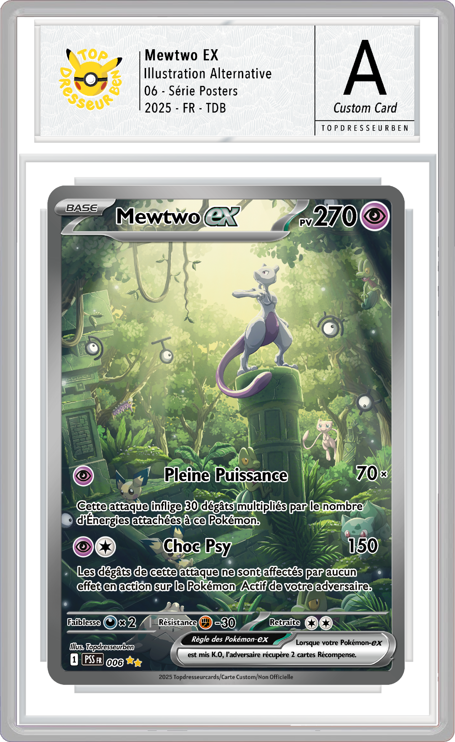 mewtwo poster 06 sous boitier topdresseurben