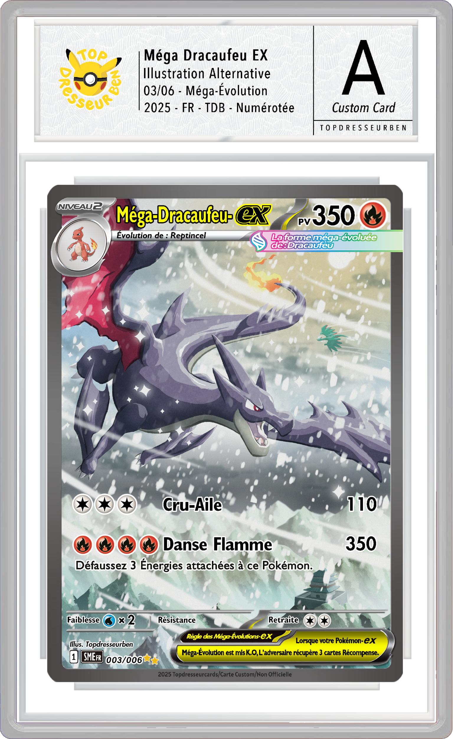 mega dracaufeu y me sous boitier topdresseurben