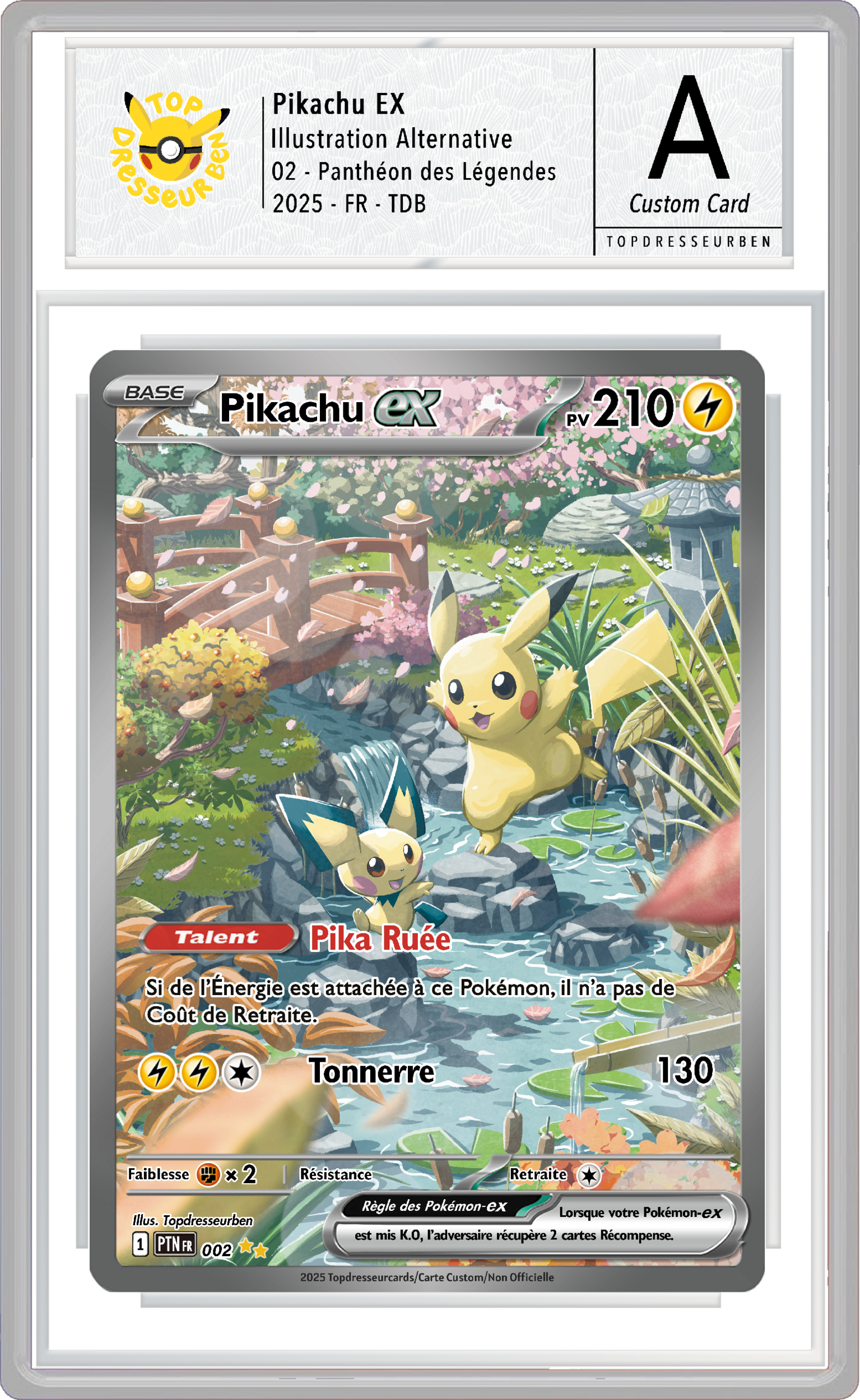 pikachu pantheon sous boitier topdresseurben