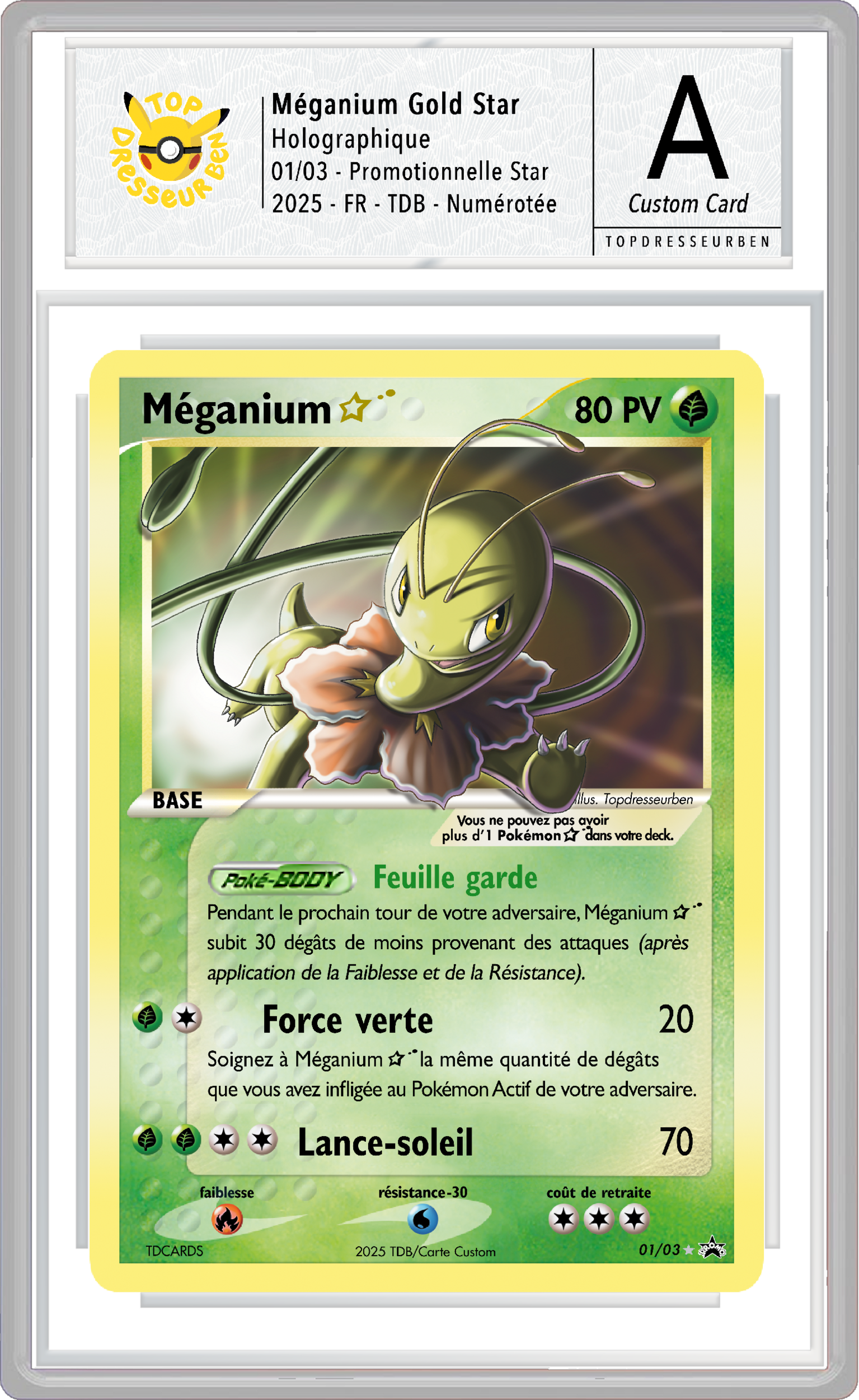meganium star sous boitier topdresseurben