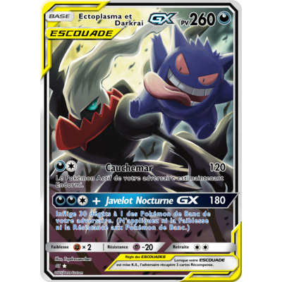 ecto-darkrai-escouade-impression