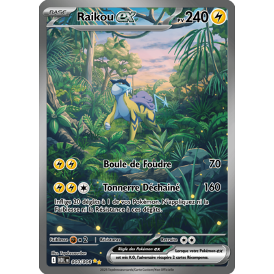 003-006-raikou-hdl-impression video