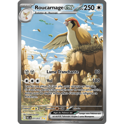 011-012-roucarnage-rel-alt-ed1-impression video