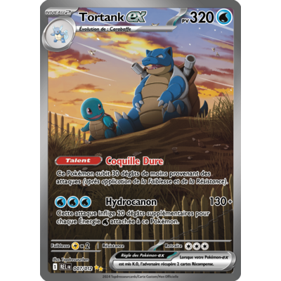 007-012-tortank-rel-alt-ed1-impression video