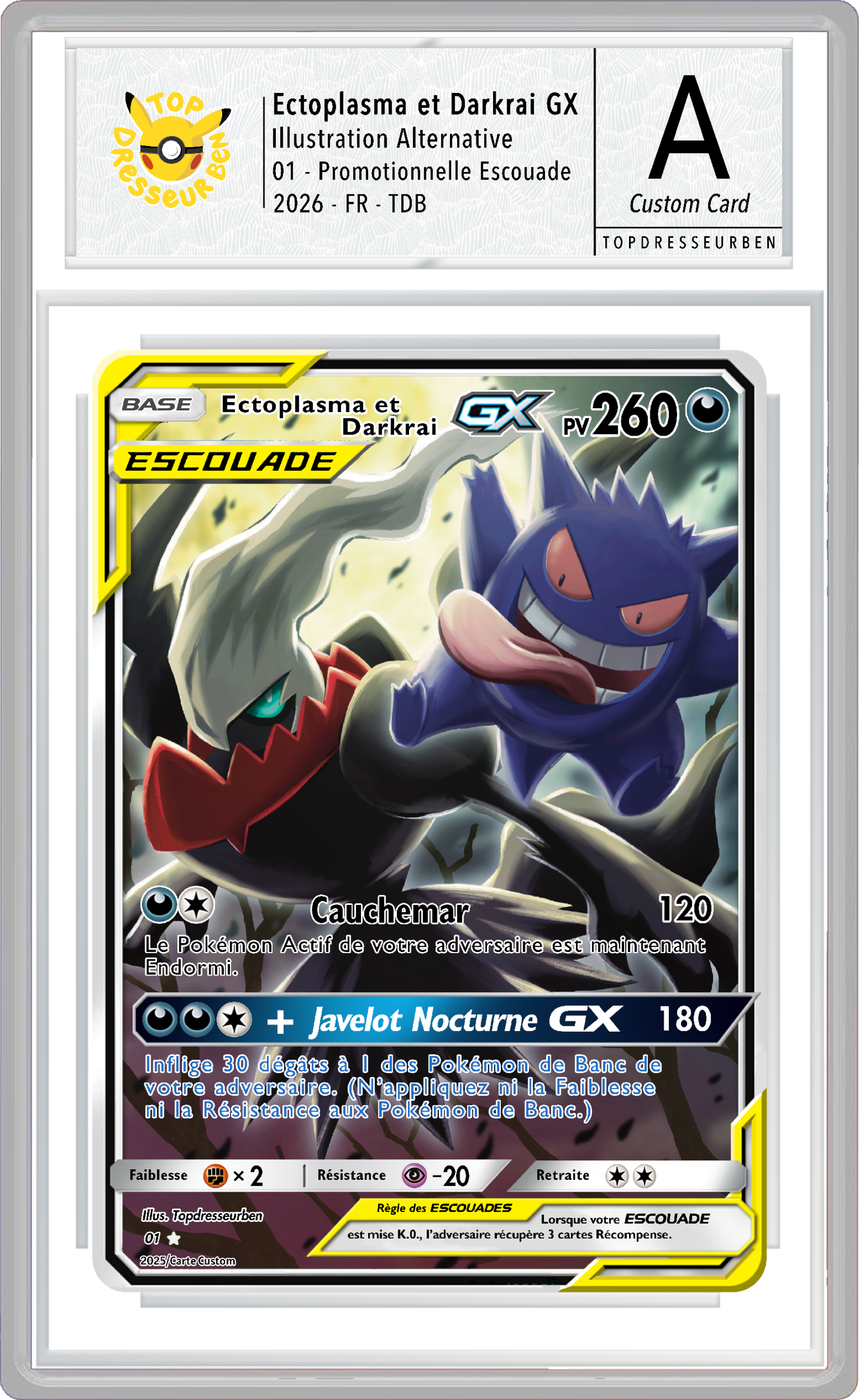 ecto darkrai escouade sous boitier