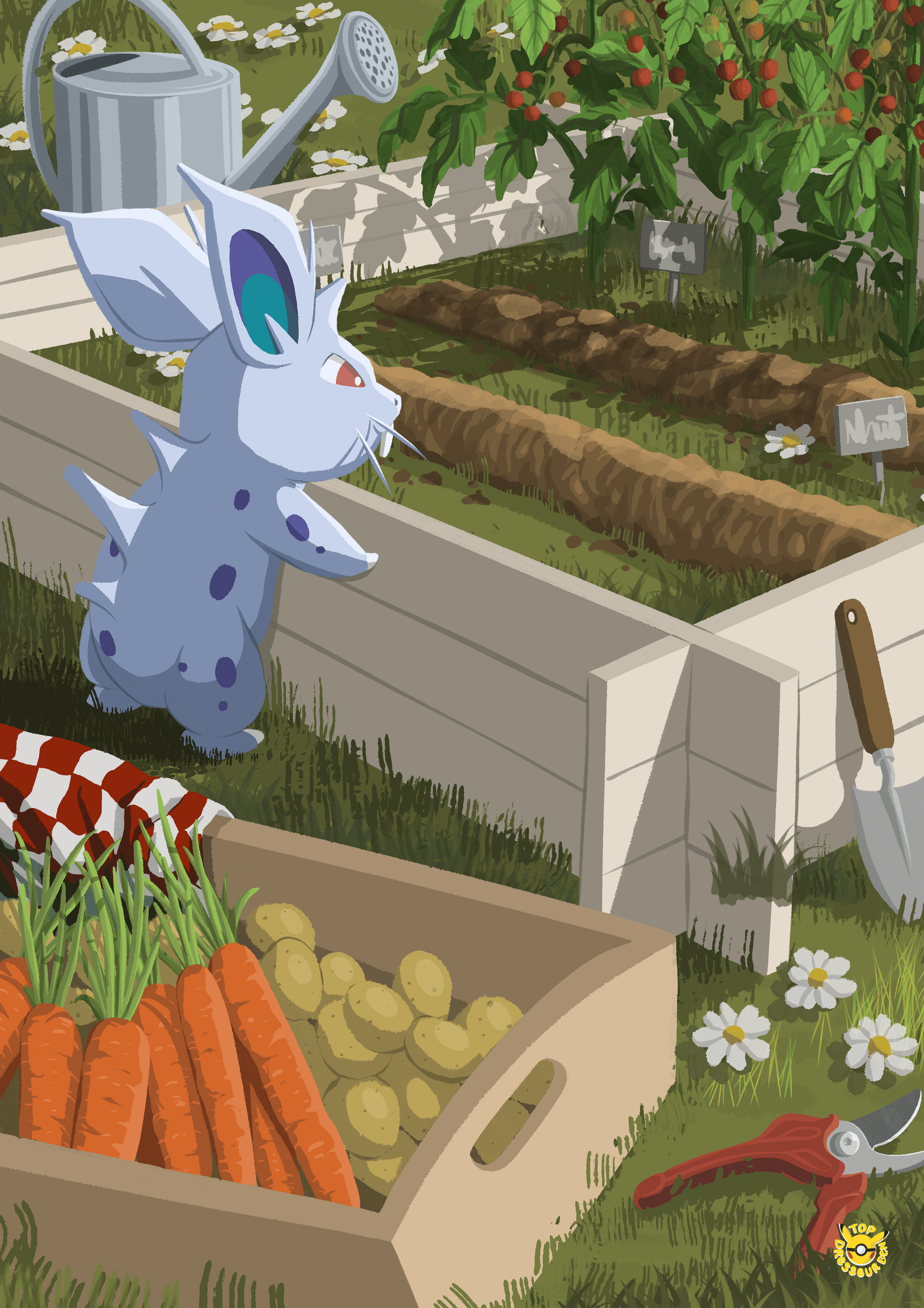 nidoran femelle