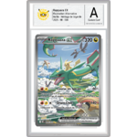 rayquaza hdl sous boitier topdresseurben