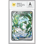 rayquaza promo 022 sous boitier topdresseurben