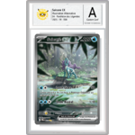 suicune pantheon sous boitier topdresseurben