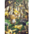 Le_Bois_Tonnerre