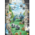 metalosse et jirachi