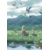 meganium
