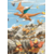 dracaufeu feu