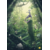 La_Jungle_Indomptée