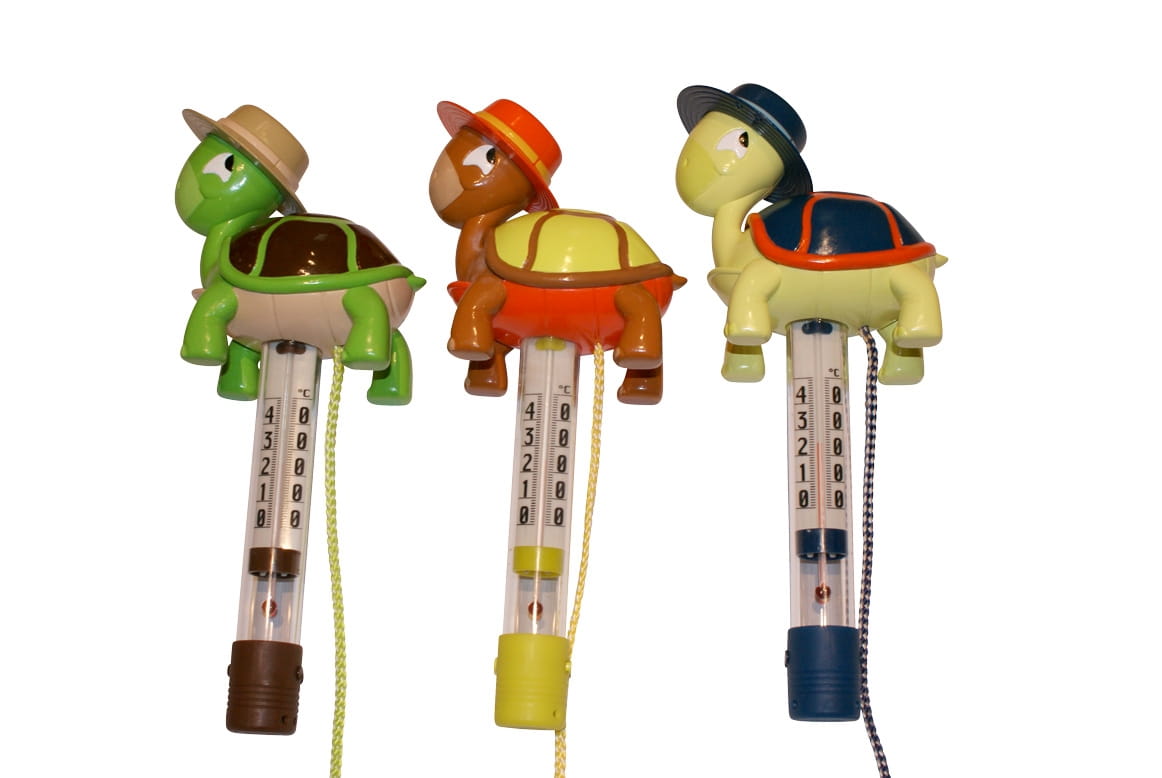 N14037-TORTUE