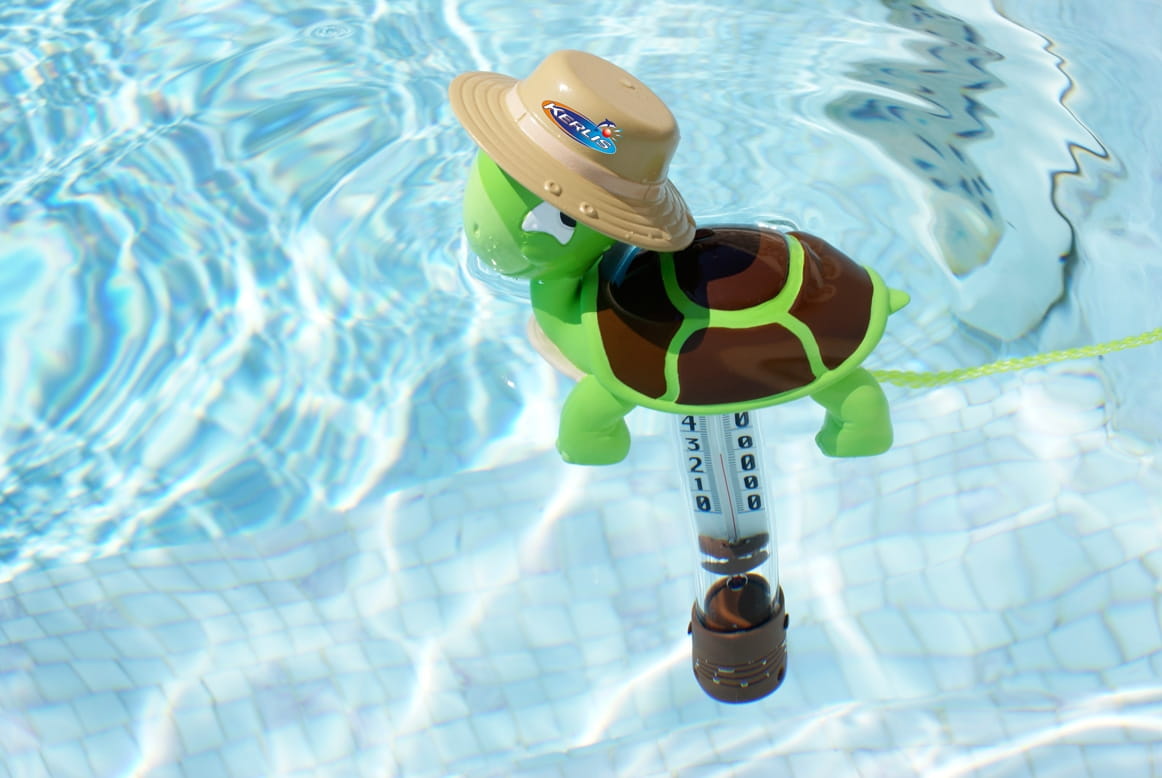 N14037-THERMOMETRE TORTUE