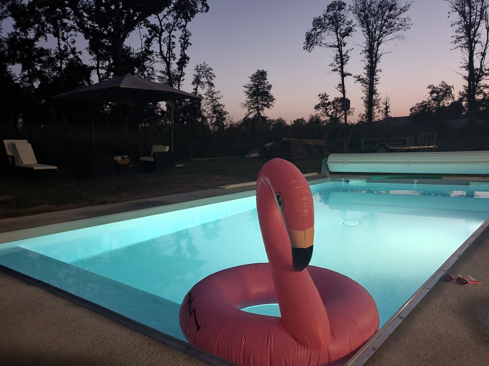 liner sable
