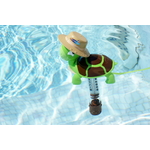 N14037-THERMOMETRE TORTUE