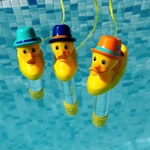 THERMOMETRE CANARD