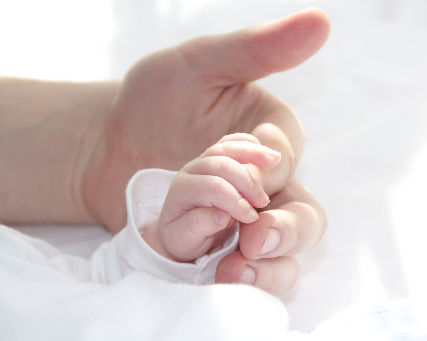 photos gratuites de adorable amour arriere plan