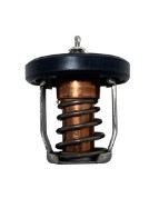 Thermostat  SUZUKI Marine