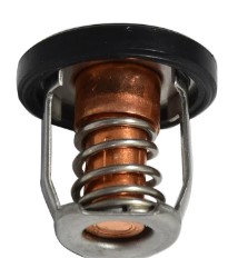 Thermostat  SUZUKI Marine
