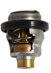 Thermostat - SUZUKI Marine
